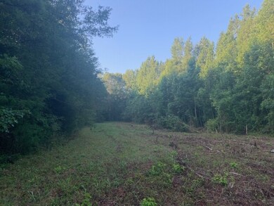 0 Lonesome Dove unit 20220657, Elberton, GA 30635 - photo 2