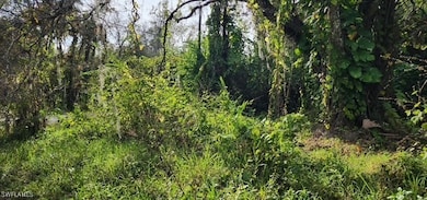 4910 Miraham Dr, Immokalee, FL 34142 - photo 3