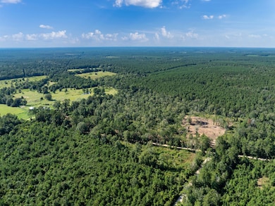 Aerial view of property and surrounding area featuring a forest