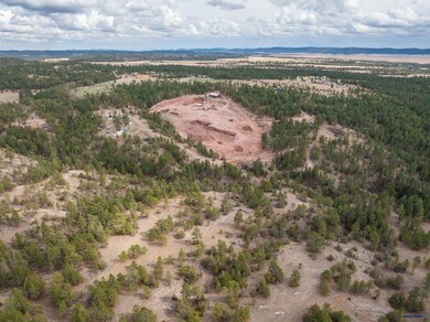 TBD Gravel Pit Loop unit Off of Hwy 89 South, Hot Springs, SD 57747 - photo 7