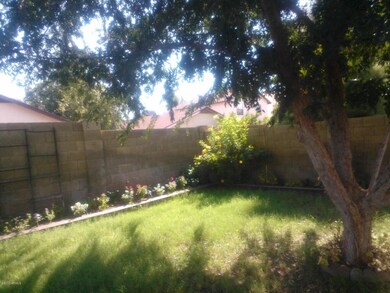 Back Yard (2)