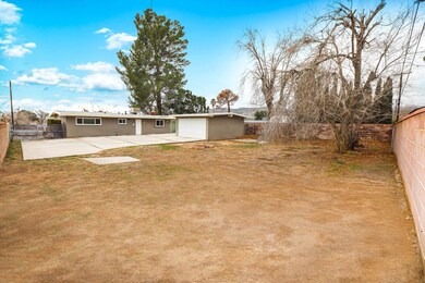 Daytime #5 - Yucca Yard From North Corne