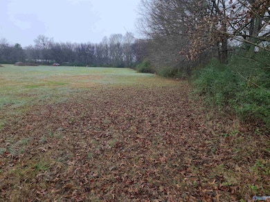 27287 Oak Crest Dr, Athens, AL 35613 - photo 7