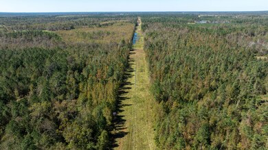 0 Highway 17 unit 21752659, Midville, GA 30441 - photo 7