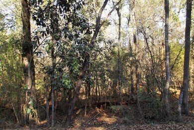 40 Dick Sumrall Rd, Laurel, MS 39443 - photo 3