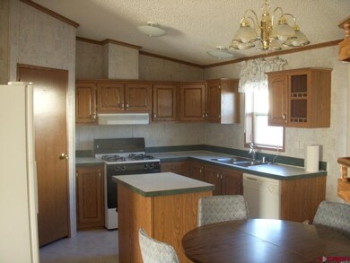 9th Street, Cedaredge, CO 81413 - photo 3