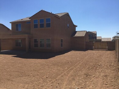 Backyard 2