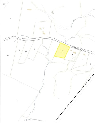 Lot 6 Stoneham Rd unit MAP 139 LOT 6, Wolfeboro, NH 03984 - photo 4