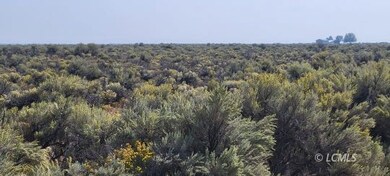 300 TL Fossil Lake Rd, Christmas Valley, OR 97641 - photo 3