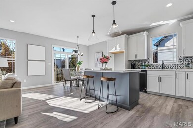 533 Ryehill Dr, Saint Peters, MO 63376 - photo 7