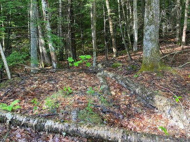 0 Old Swanzey Rd unit Map 18 Lot B004, Chesterfield, NH 03462 - photo 5