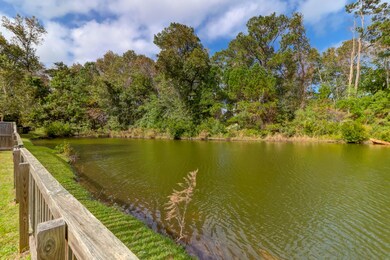 Pond