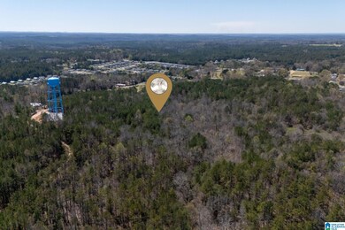 16082 House Rd, Brookwood, AL 35444 - photo 7