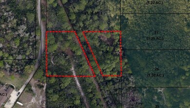 51198984_BrevardCounty.jpg