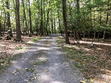 7517 Mountain Ln, Stroudsburg, PA 18360 - photo 7