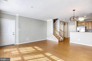 22781 Settlers Trail Terrace, Ashburn, VA 20148 - photo 3