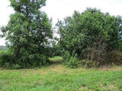 Lot view 3