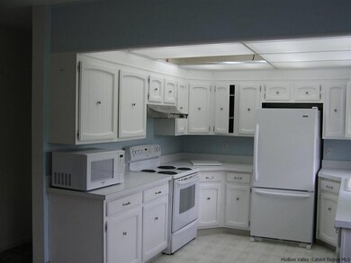 211 Vineyard Ave, Highland, NY 12528 - photo 5