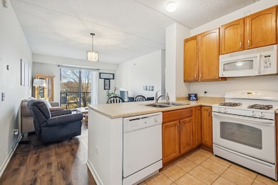 2335 W Belle Plaine Ave unit 211, Chicago, IL 60618 - photo 4