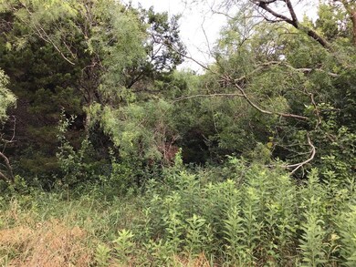 39341 Cedar Trail, Whitney, TX 76692 - photo 7