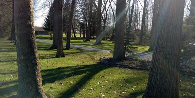 Driveway!