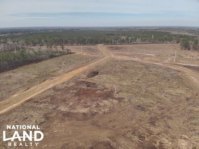 0 Ms Hwy 12 W, Starkville, MS 39759 - photo 7