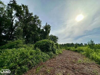 0 Bennett Colter Rd unit 25767774, Rentz, GA 31075 - photo 6