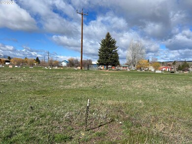 0 Highway 402 unit 22426528, Monument, OR 97864 - photo 3