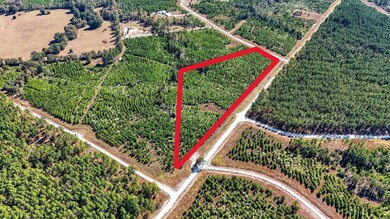 625 Trinity Trail, Lovelady, TX 75851 - photo 6