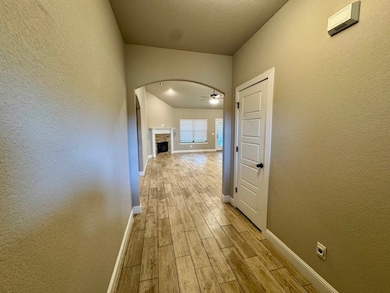 386 E Hayes St, Pea Ridge, AR 72751 - photo 2