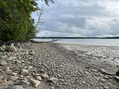 Pebbly/sandy lake frontage