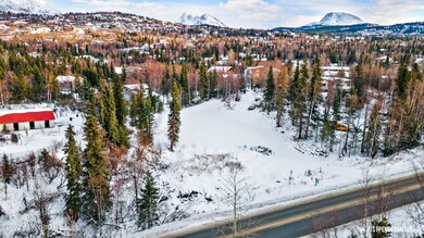 5-DJI_0312