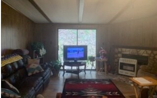 1354 Old Highway 5 N, Ellijay, GA 30540 - photo 3