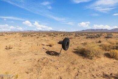 IMG_0645