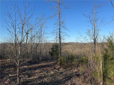 Tract 1 Nc 8374 Rd, Jasper, AR 72641 - photo 2