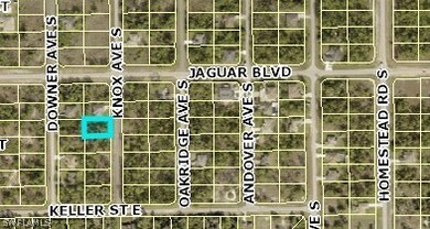 806 Knox Ave S, Lehigh Acres, FL 33974 - photo 2