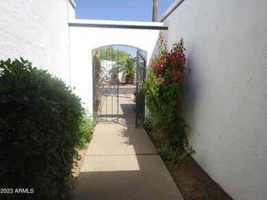 DSC02750