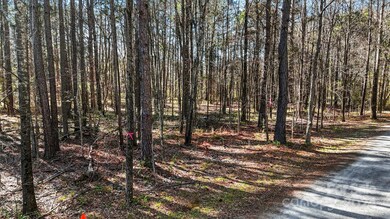 11 Rose Dr unit 11 & 12, Indian Trail, NC 28079 - photo 3