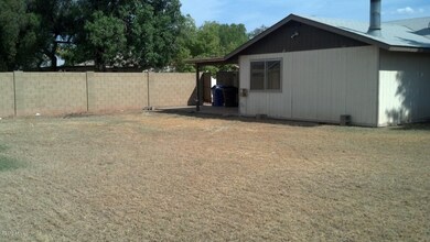 Forge_Back Yard_2