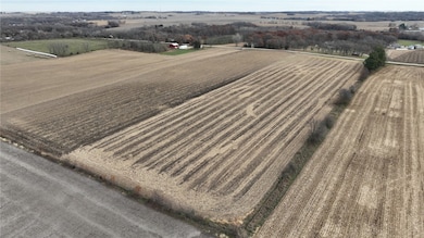 0 Jordans Grove Rd, Central City, IA 52214 - photo 4