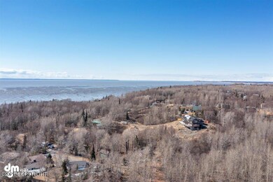 02-Aerials MS_0641