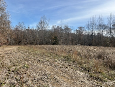 0 Sulphur Creek Rd unit RTC3044976, Big Sandy, TN 38221 - photo 6