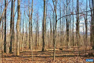 845 Crawfords Climb, Nellysford, VA 22958 - photo 2