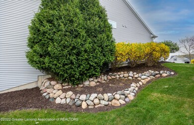 Side Yard