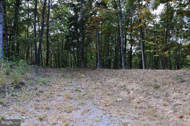 7 Smokeyshire Ln, Cross Junction, VA 22625 - photo 5