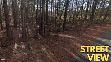 0 Pine Lake Lot #38 Estates unit 10123176, Roseboro, NC 28382 - photo 2