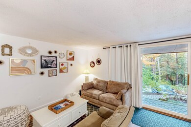 26 Stratton Rd W unit 26, Winhall, VT 05340 - photo 4