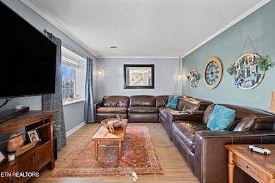 1120 Buxton Dr, Knoxville, TN 37922 - photo 5