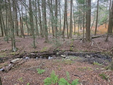 270 Baudendistel Rd, Hancock, NY 13783 - photo 6