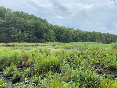 0 Fisherman S Bridge Rd unit S1636074, Williamstown, NY 13493 - photo 6